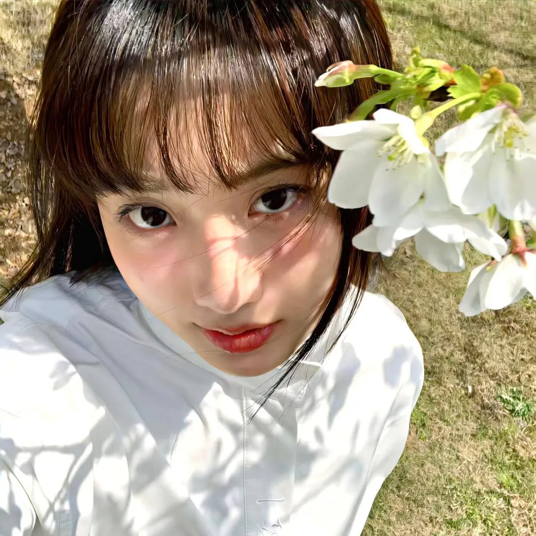 美狄亚的诅咒